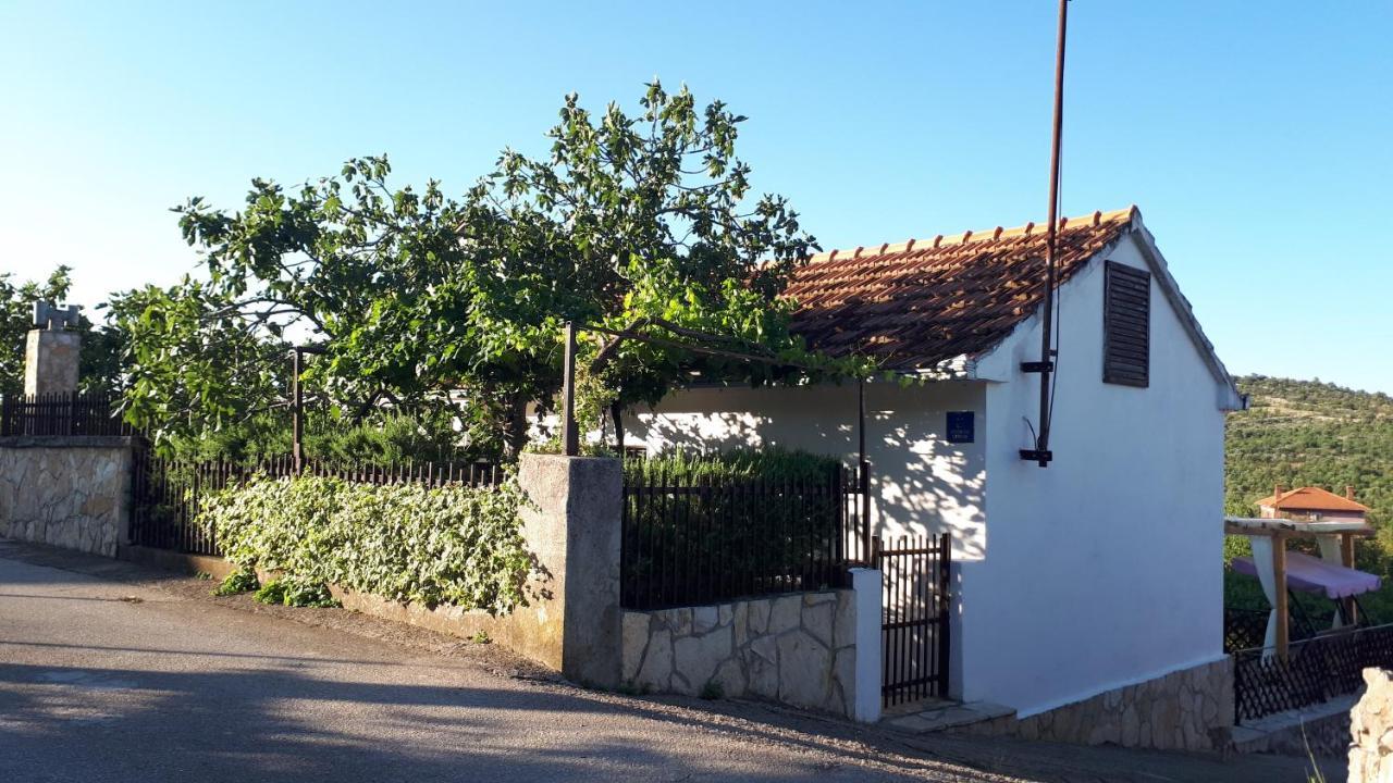 Luminaria Solis Vacation Home 罗戈兹尼察 外观 照片